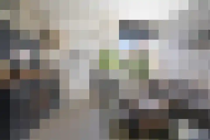 In de Riet 39 Horst thumbnail 4