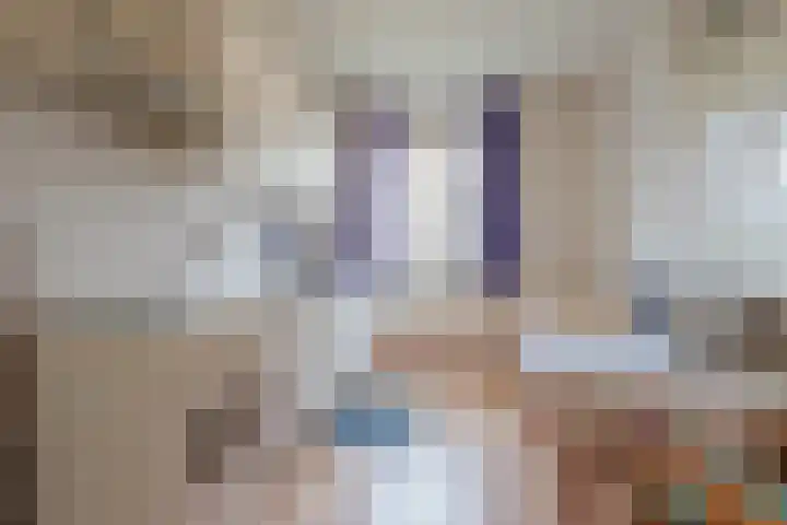 In de Riet 39 Horst thumbnail 5
