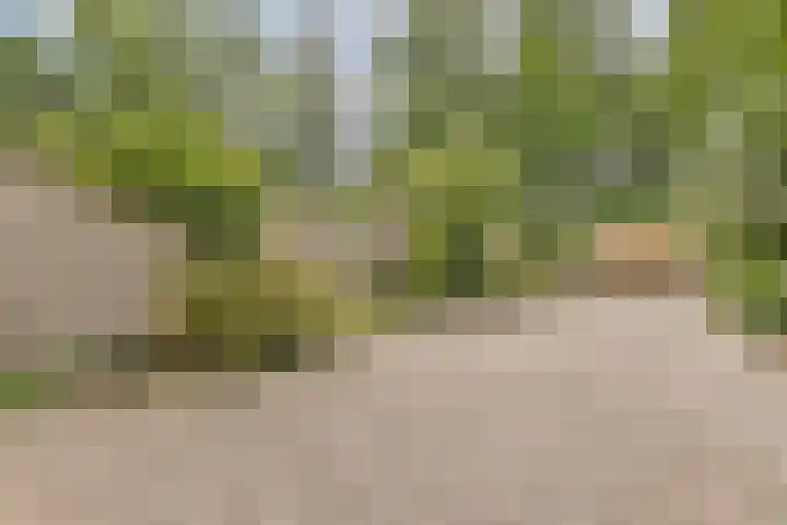 In de Watermolen 20 Duivendrecht thumbnail 11
