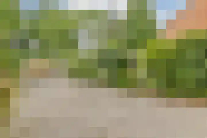 In de Watermolen 20 Duivendrecht thumbnail 12