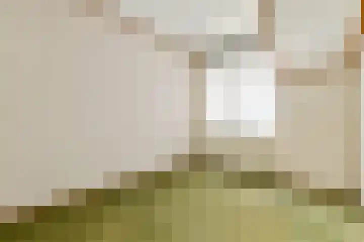In de Watermolen 20 Duivendrecht thumbnail 26