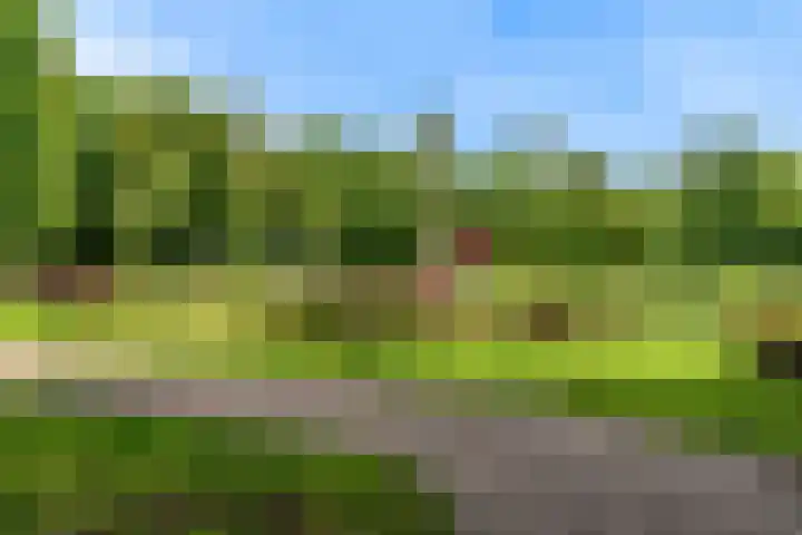 In de Watermolen 47 Duivendrecht thumbnail 36