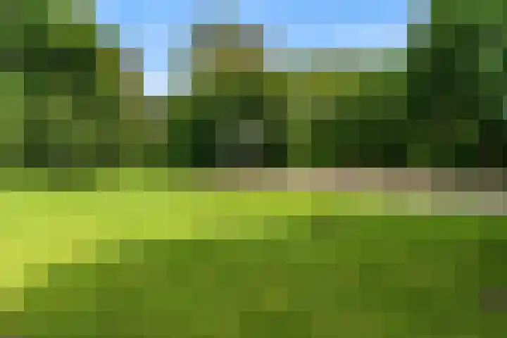 In de Watermolen 47 Duivendrecht thumbnail 37