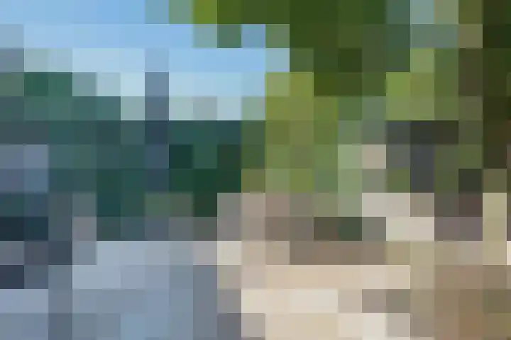 In de Watermolen 51 Duivendrecht thumbnail 14