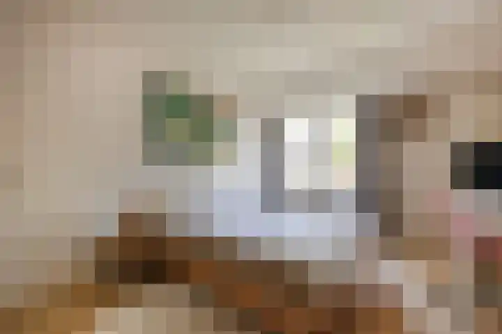 In de Watermolen 51 Duivendrecht thumbnail 30
