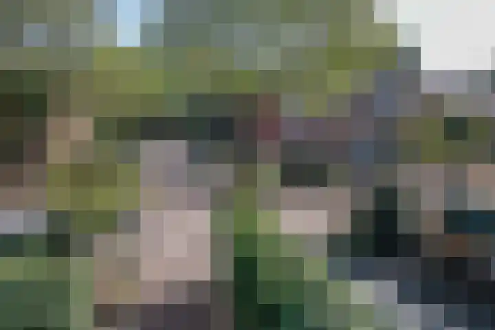 In de Watermolen 51 Duivendrecht thumbnail 32