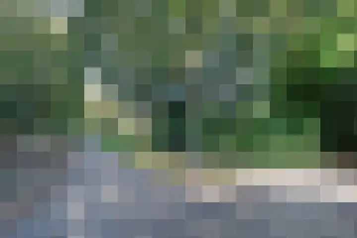 In de Watermolen 51 Duivendrecht thumbnail 55