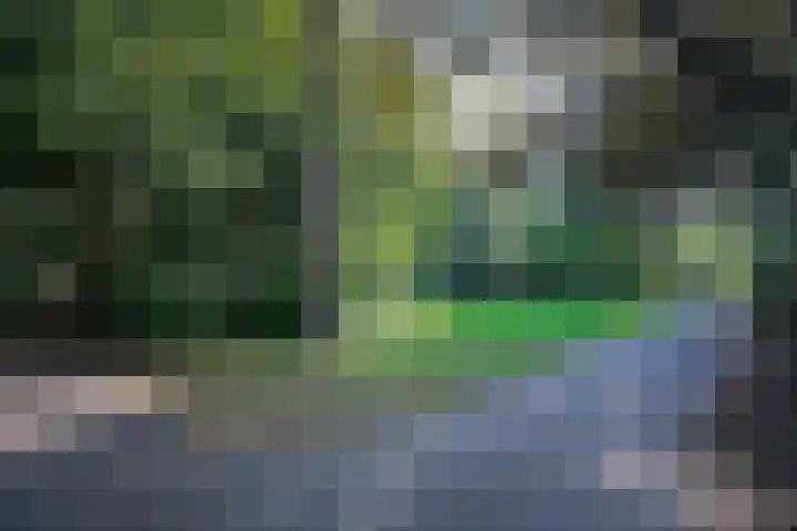 In de Watermolen 51 Duivendrecht thumbnail 56