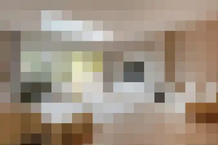 In de Watermolen 51 Duivendrecht thumbnail 9