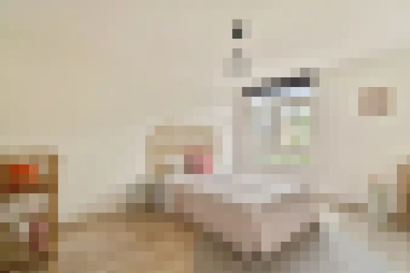In de Watermolen 7 Duivendrecht thumbnail 15