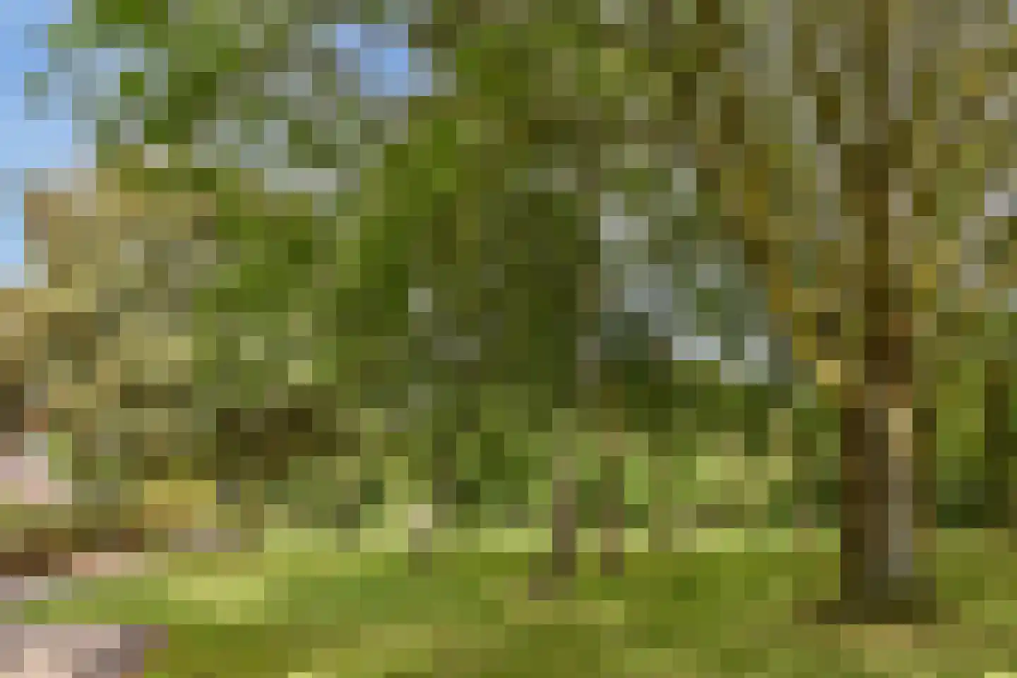 In de Watermolen 7 Duivendrecht thumbnail 32