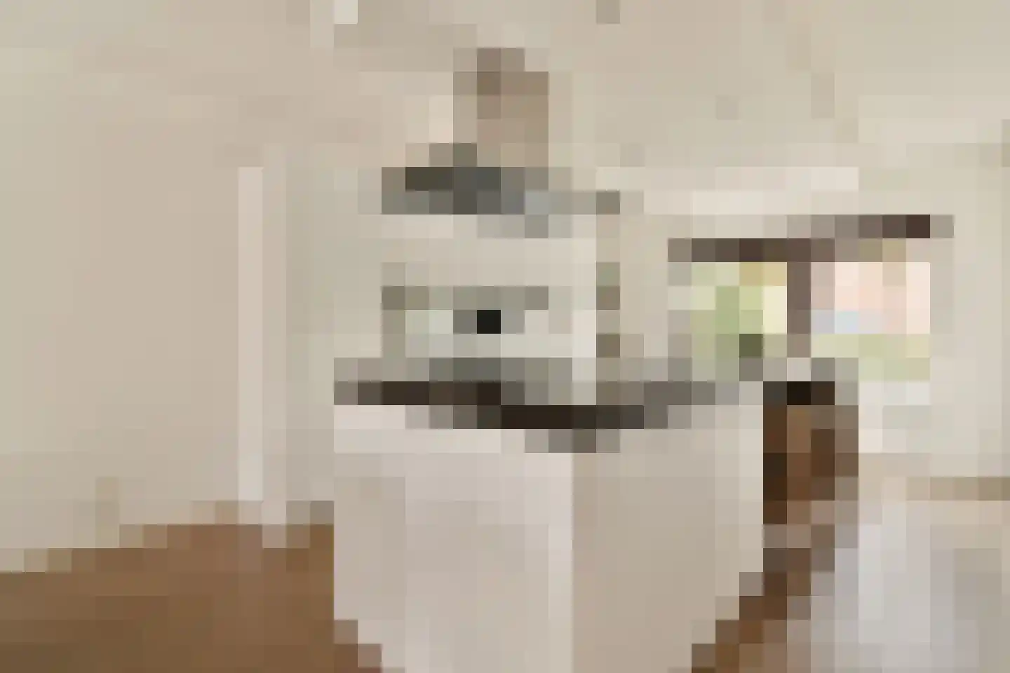 In de Watermolen 7 Duivendrecht thumbnail 8