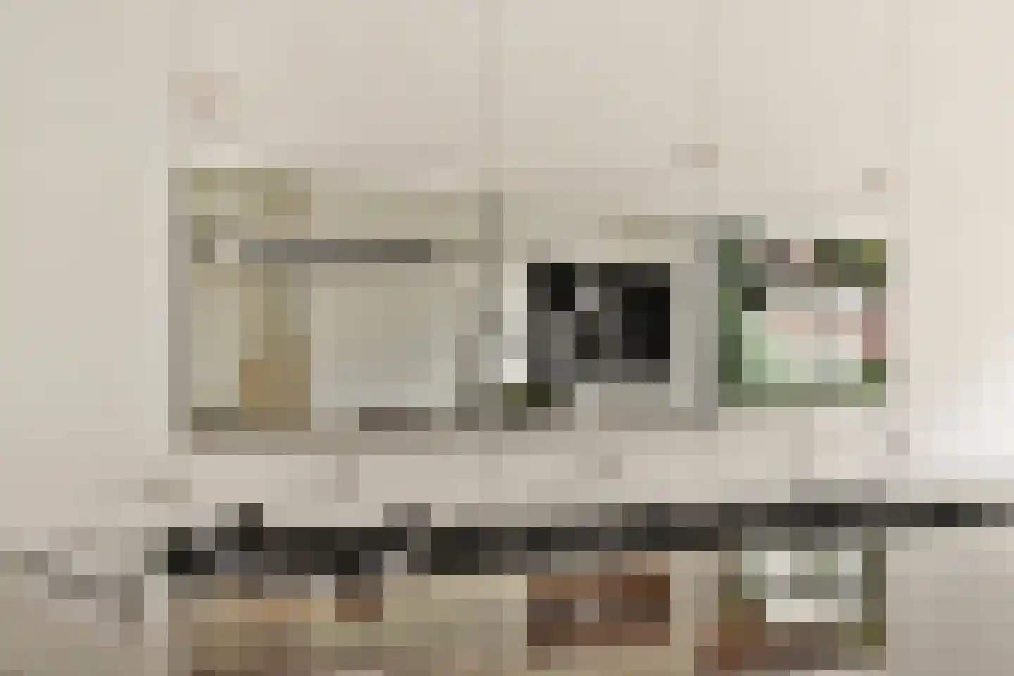 In de Watermolen 7 Duivendrecht thumbnail 9