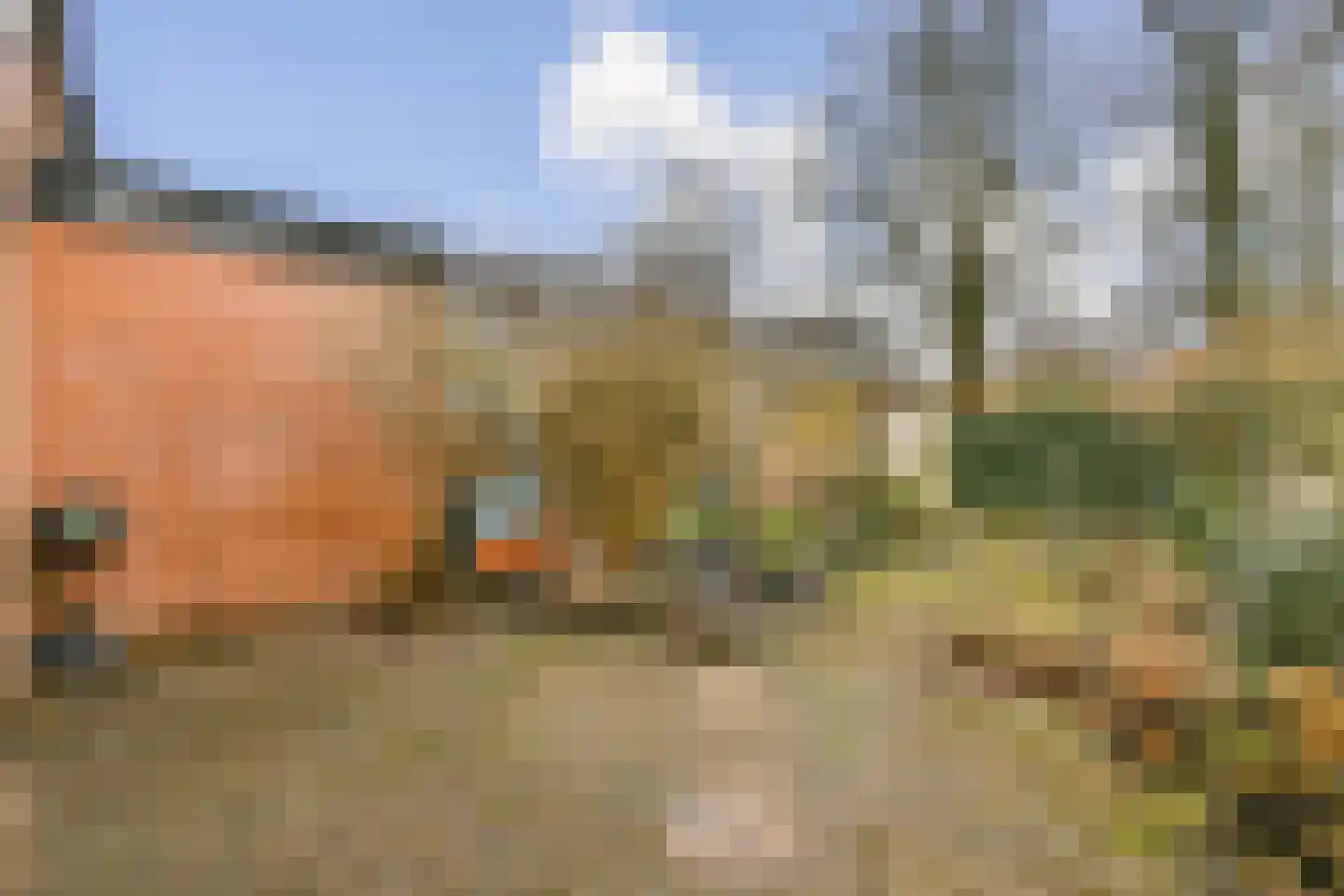 In de Watermolen 80 Duivendrecht thumbnail 12