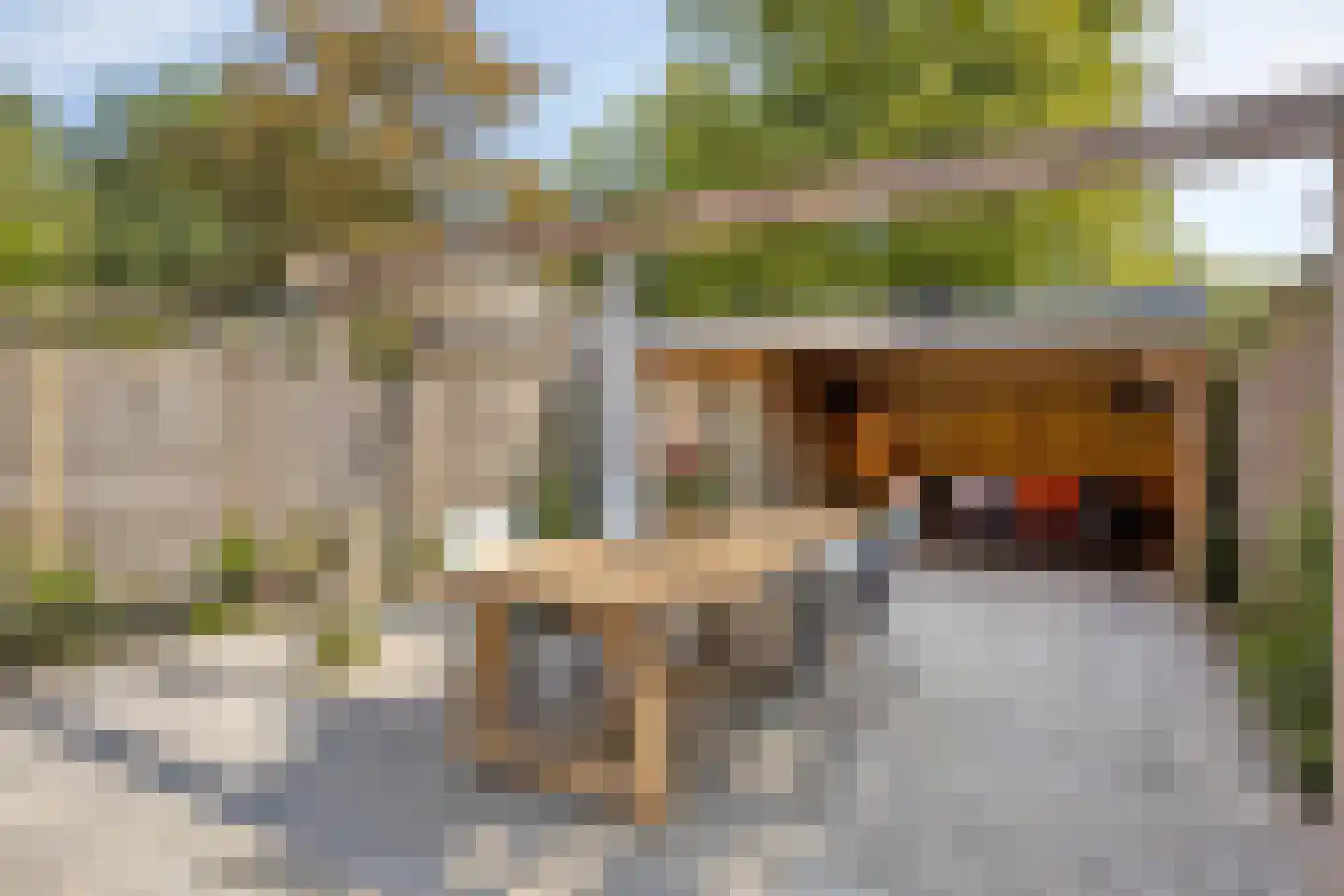 In de Watermolen 84 Duivendrecht thumbnail 22