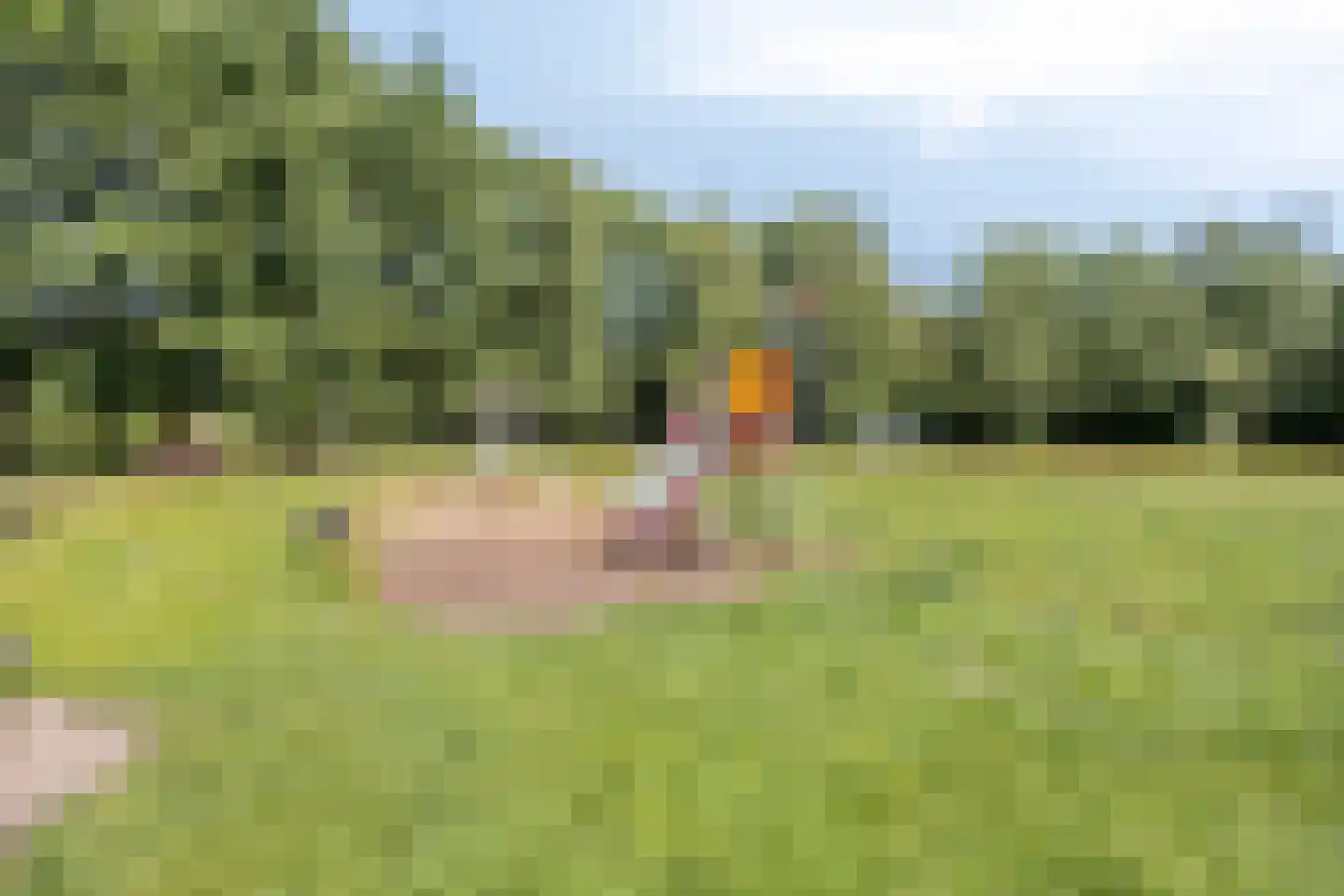 In de Watermolen 84 Duivendrecht thumbnail 32