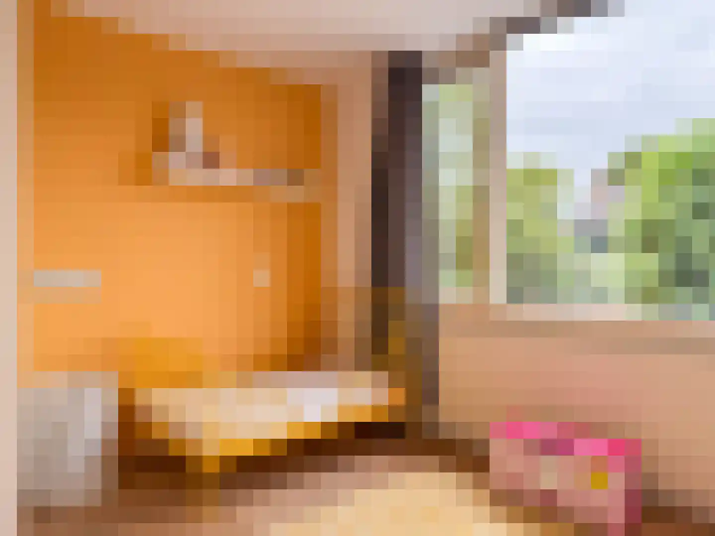 In de west 31 Amerongen thumbnail 17