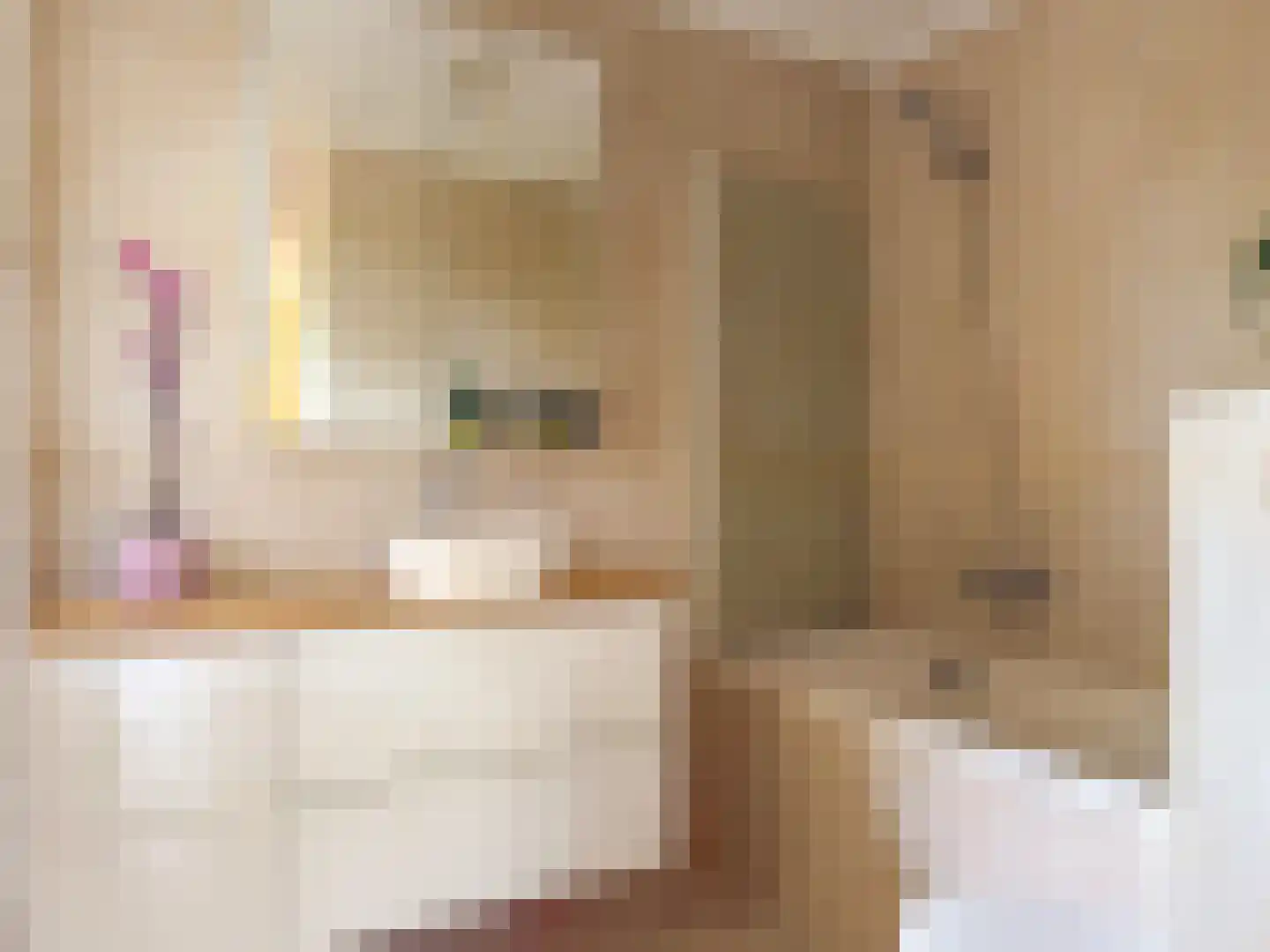 In de west 31 Amerongen thumbnail 19