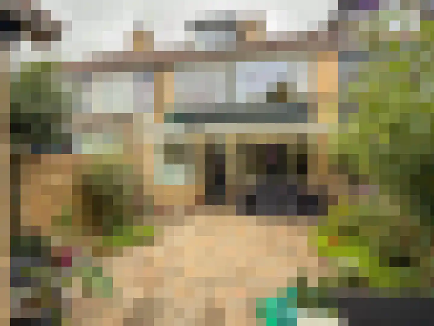 In de west 31 Amerongen thumbnail 23