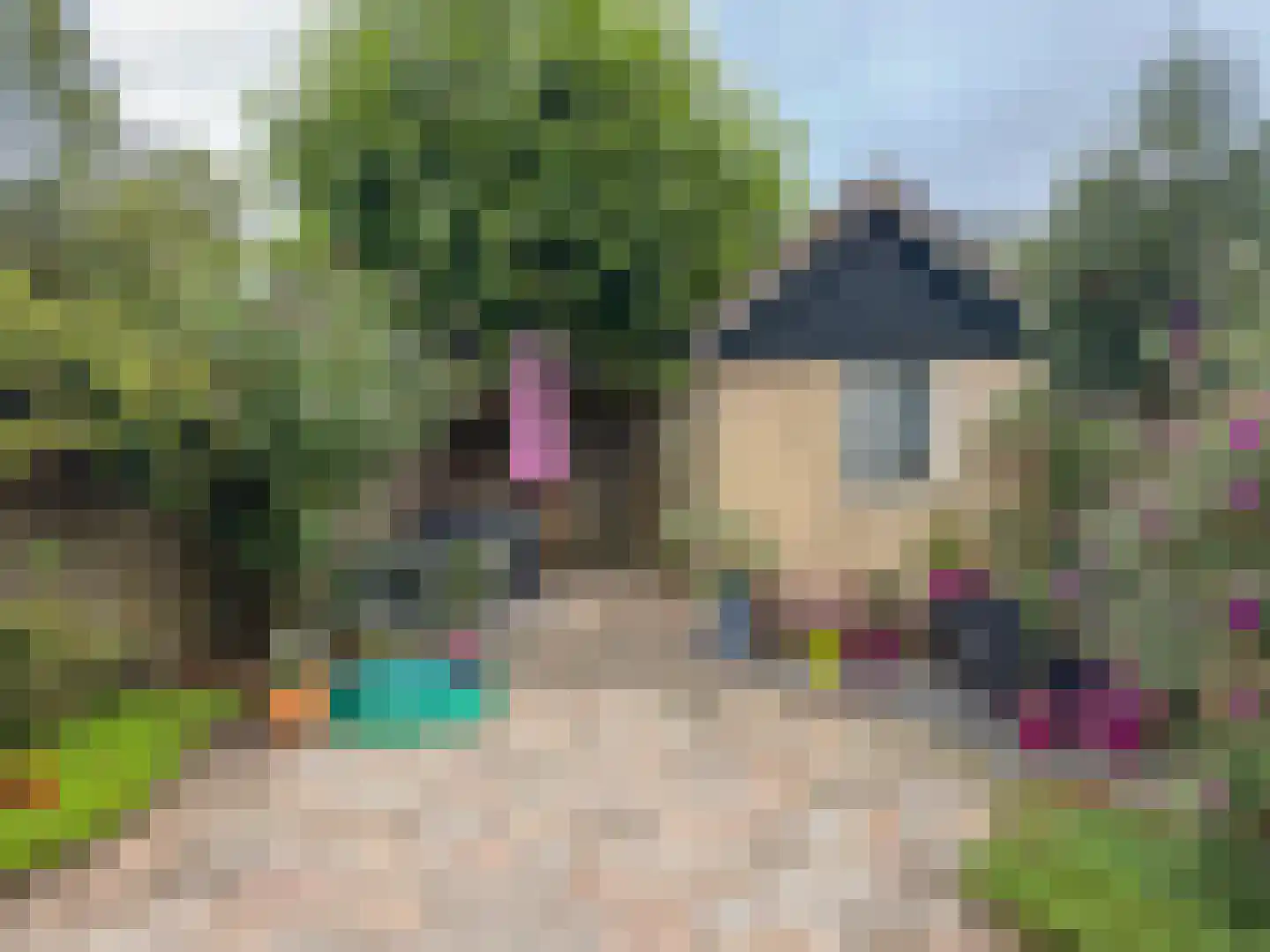 In de west 31 Amerongen thumbnail 25
