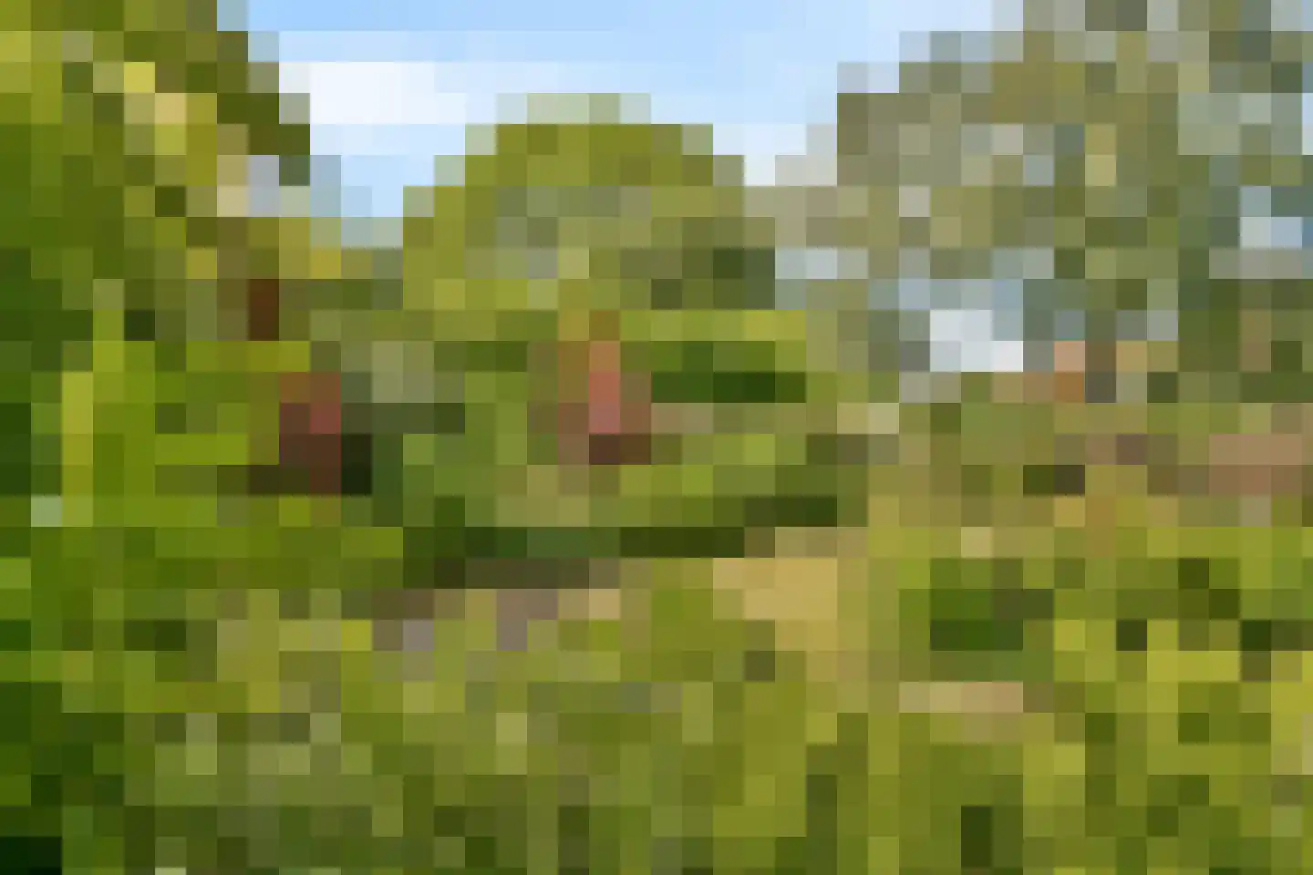 In de Wolken 256 Amstelveen thumbnail 15