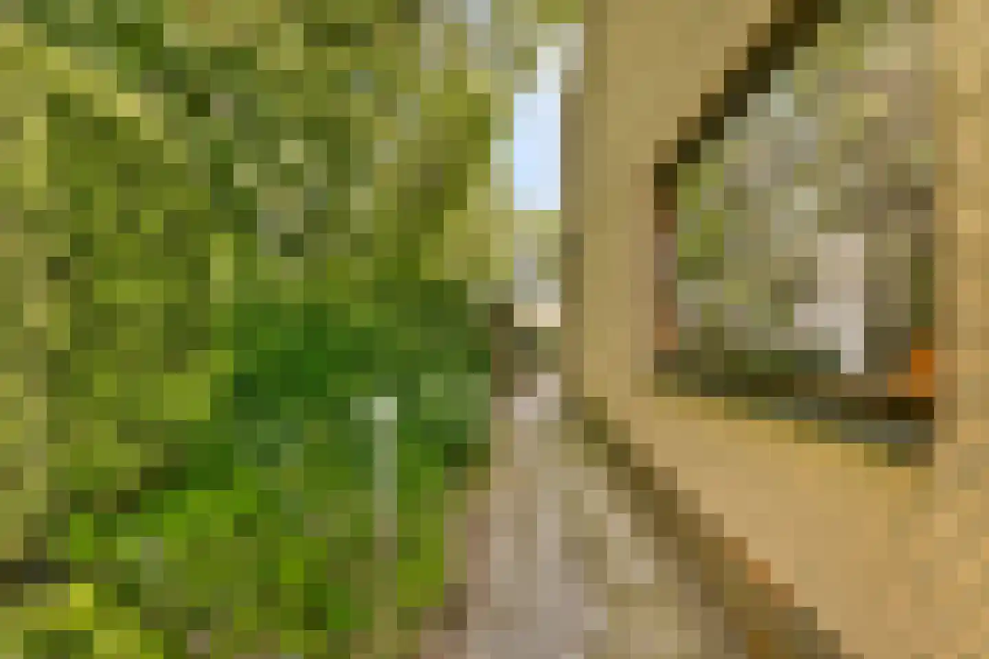In de Wolken 256 Amstelveen thumbnail 16