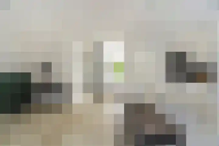 In de Wolken 284 Amstelveen thumbnail 14