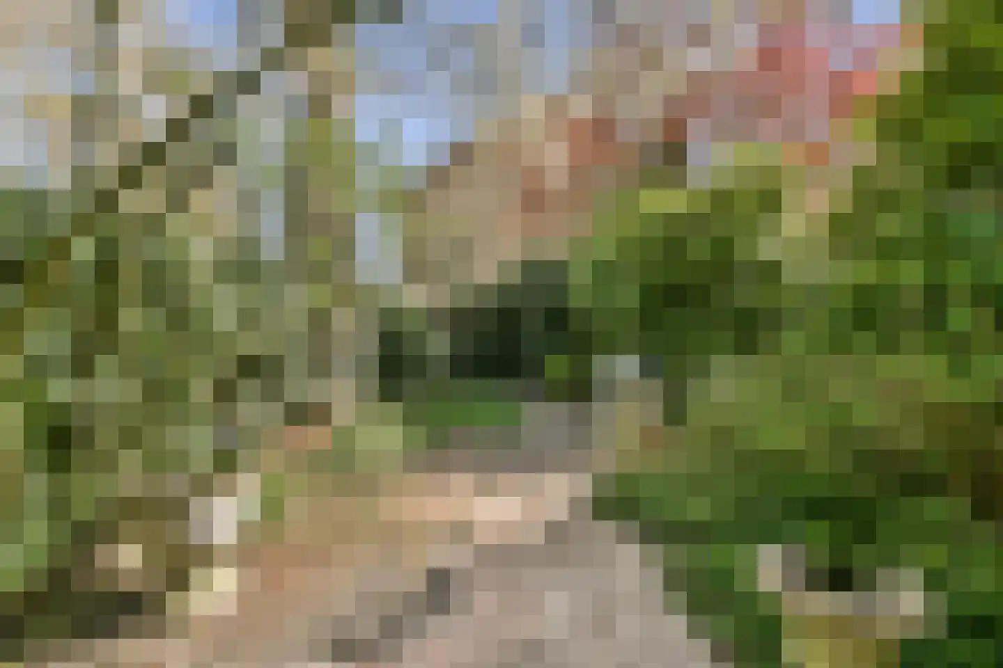 In de Wolken 47 Amstelveen thumbnail 11