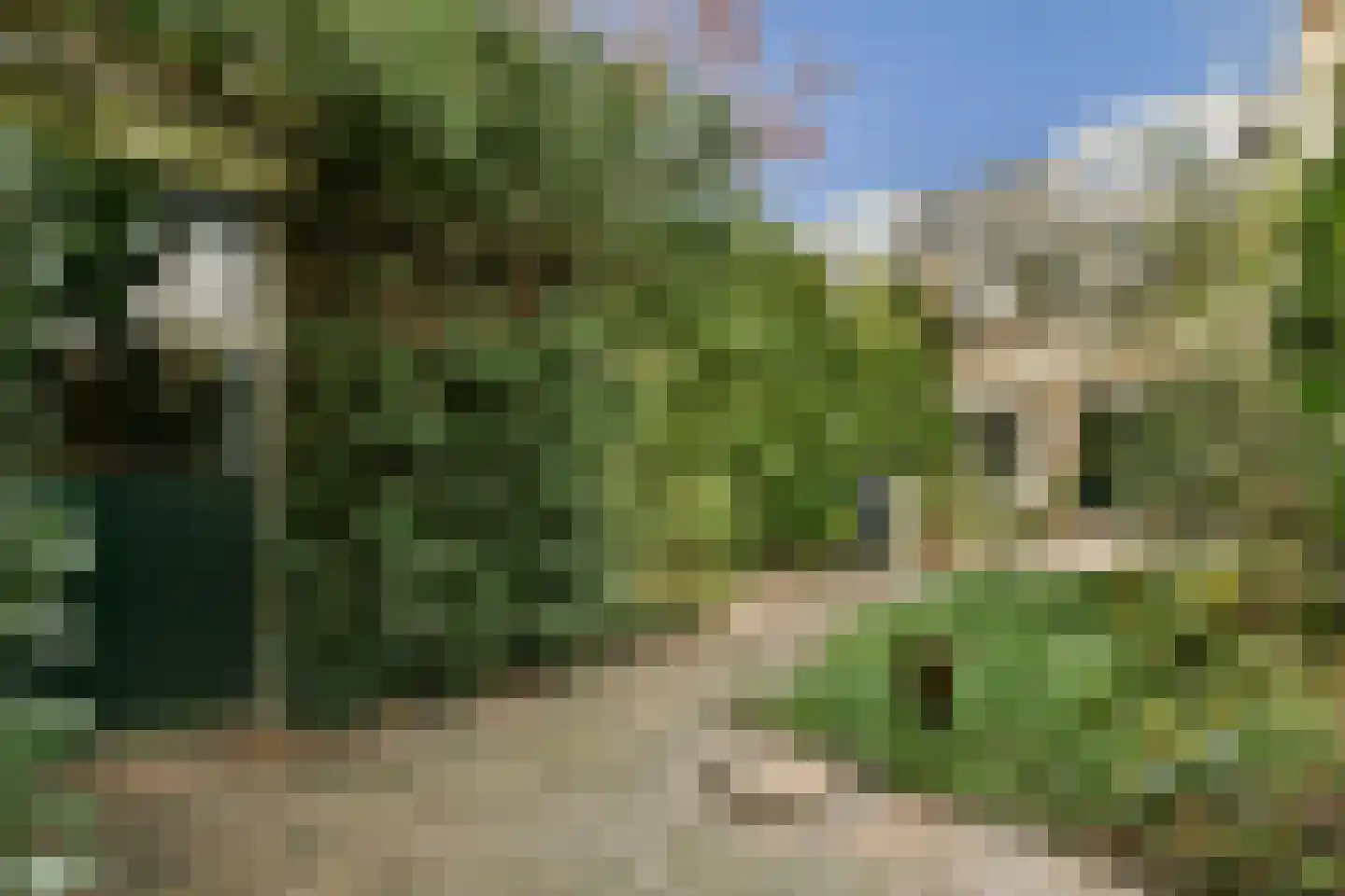 In de Wolken 47 Amstelveen thumbnail 12