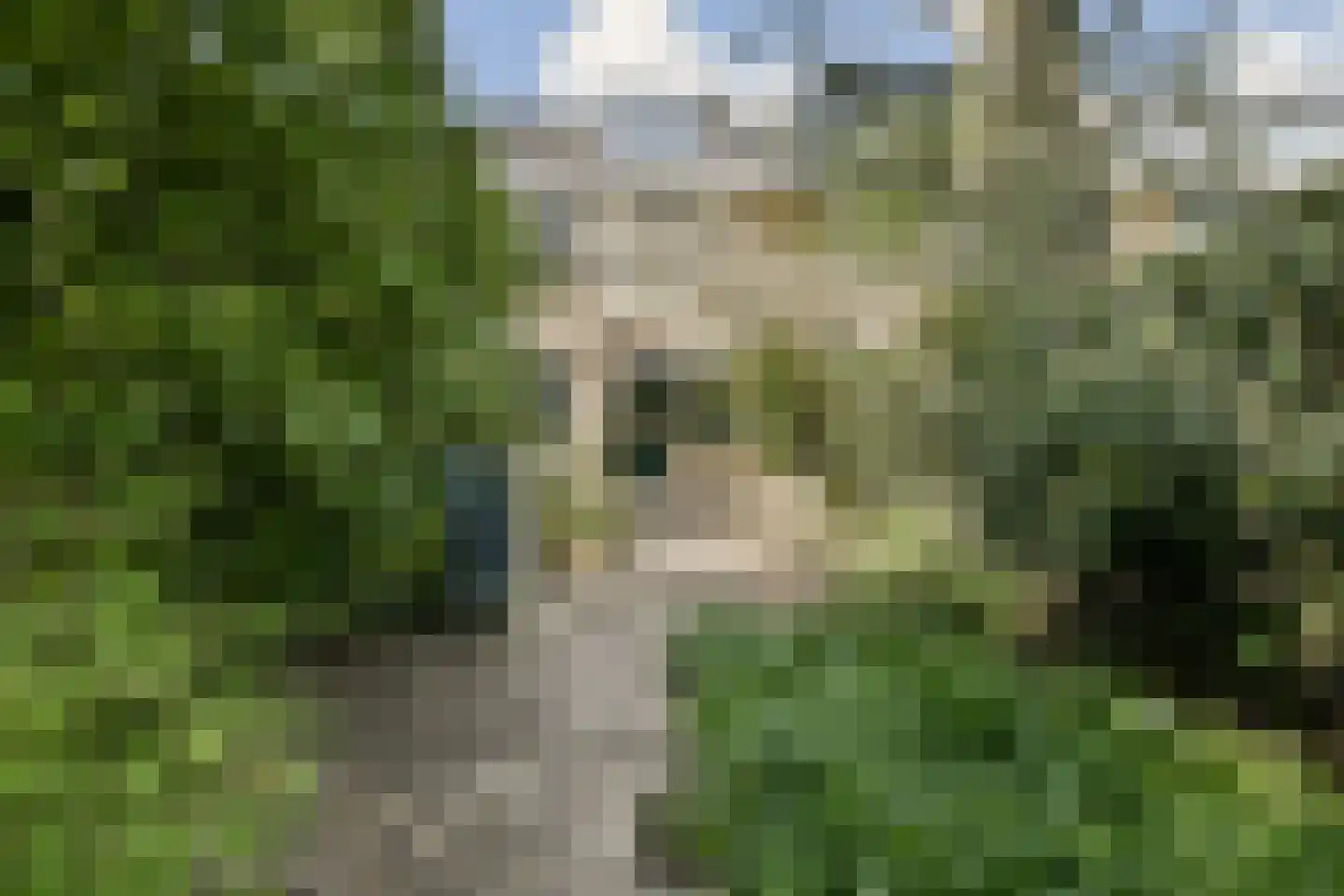 In de Wolken 47 Amstelveen thumbnail 13