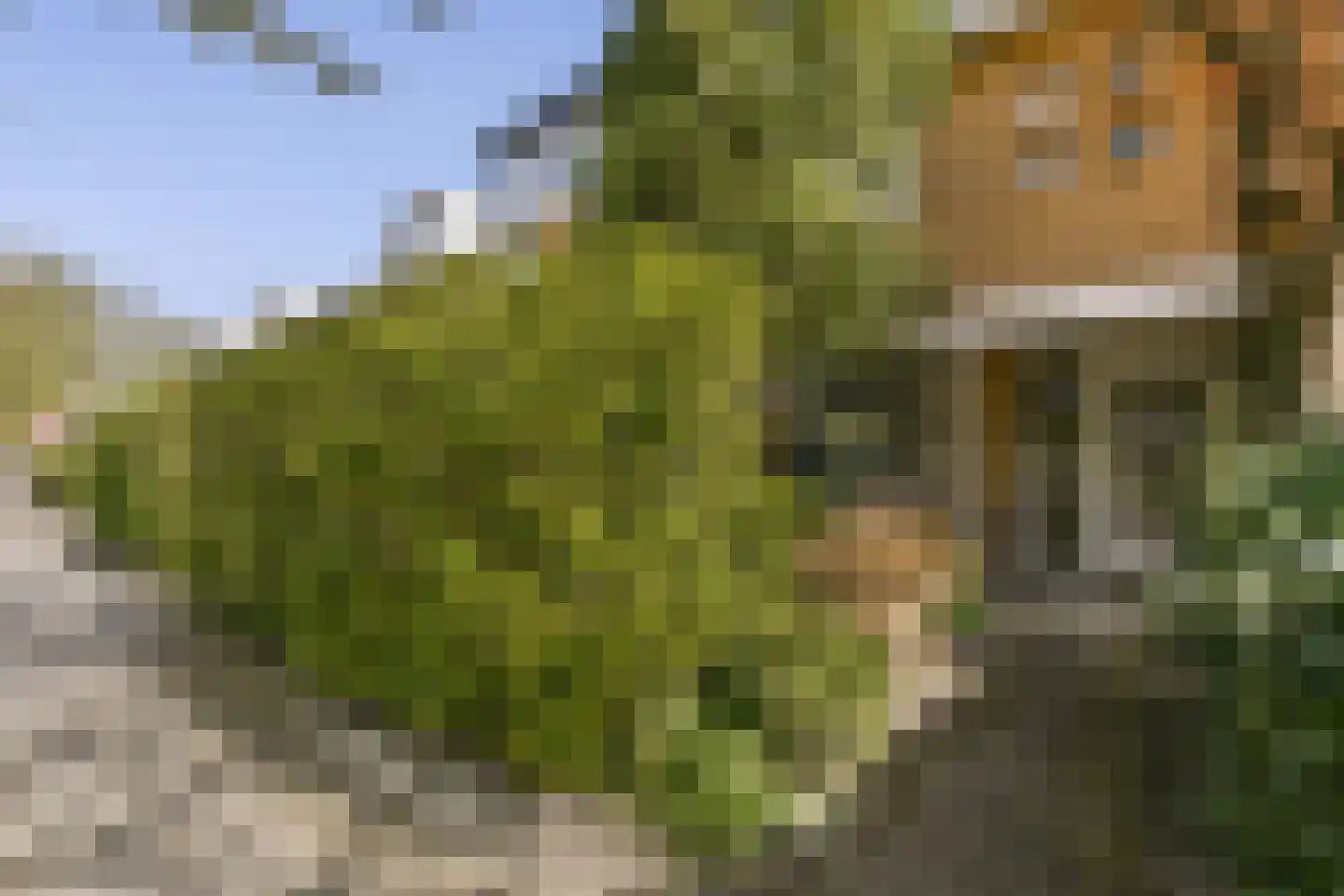 In de Wolken 47 Amstelveen thumbnail 28