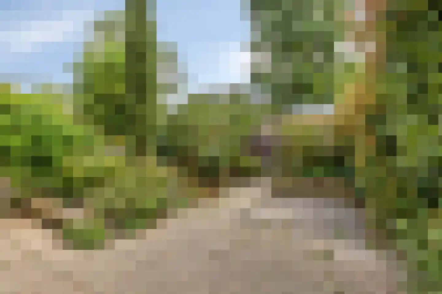 In de Wolken 79 Amstelveen thumbnail 19