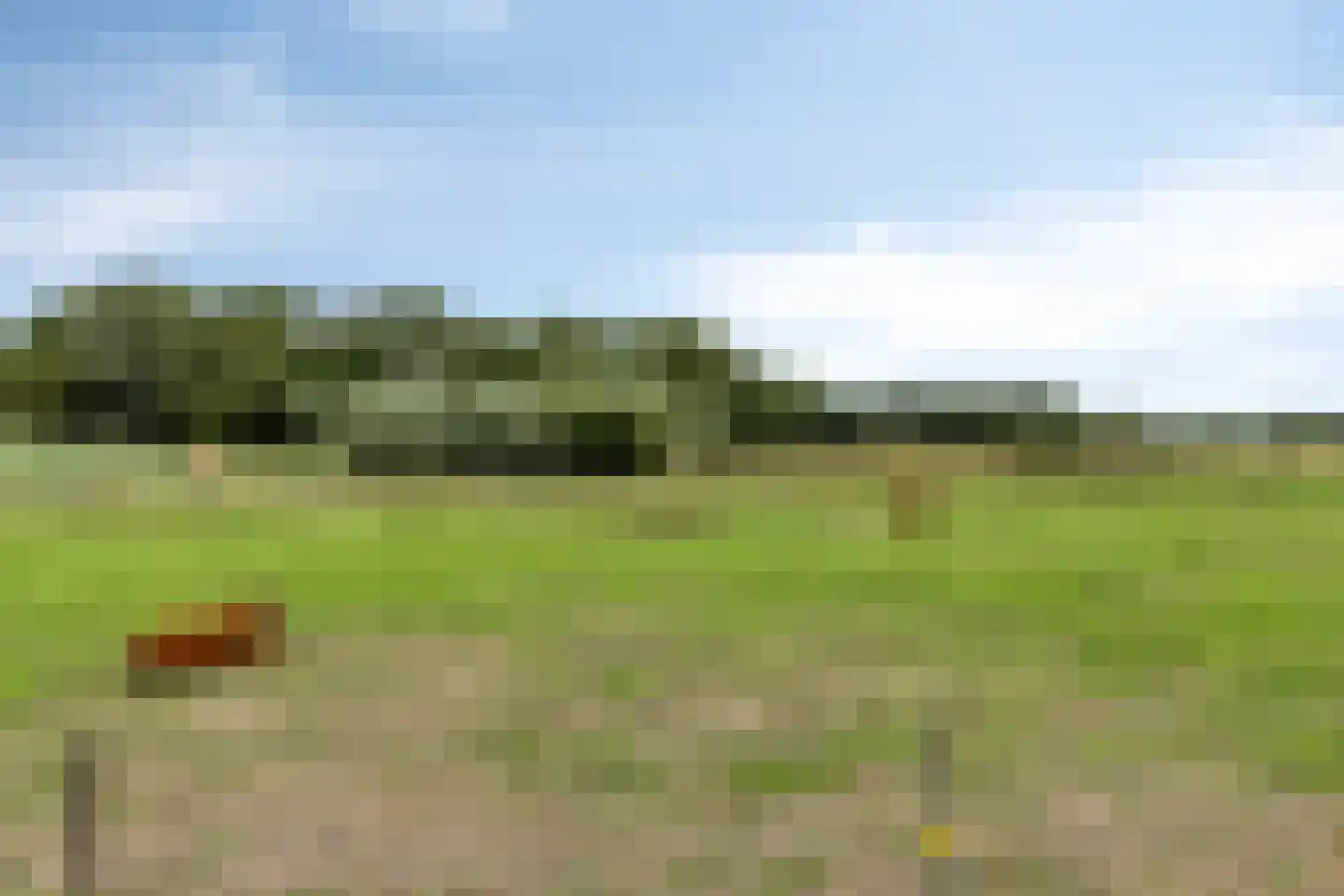 In de Wolken 79 Amstelveen thumbnail 25