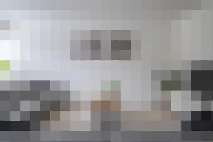 In den Bongerd 6 Westervoort thumbnail 10