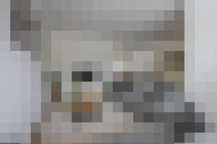 In den Bongerd 6 Westervoort thumbnail 11