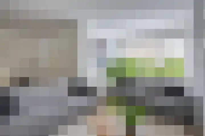 In den Bongerd 6 Westervoort thumbnail 12