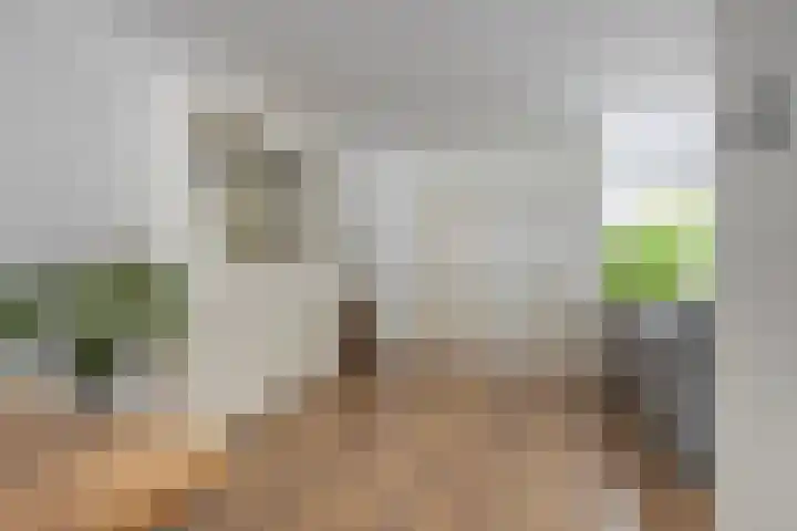 In den Bongerd 6 Westervoort thumbnail 13