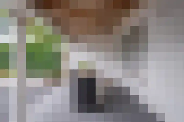 In den Bongerd 6 Westervoort thumbnail 18