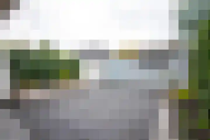 In den Bongerd 6 Westervoort thumbnail 22