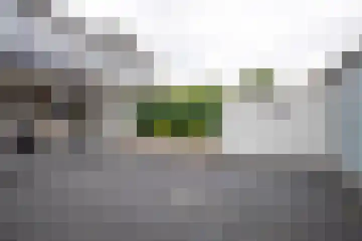 In den Bongerd 6 Westervoort thumbnail 24