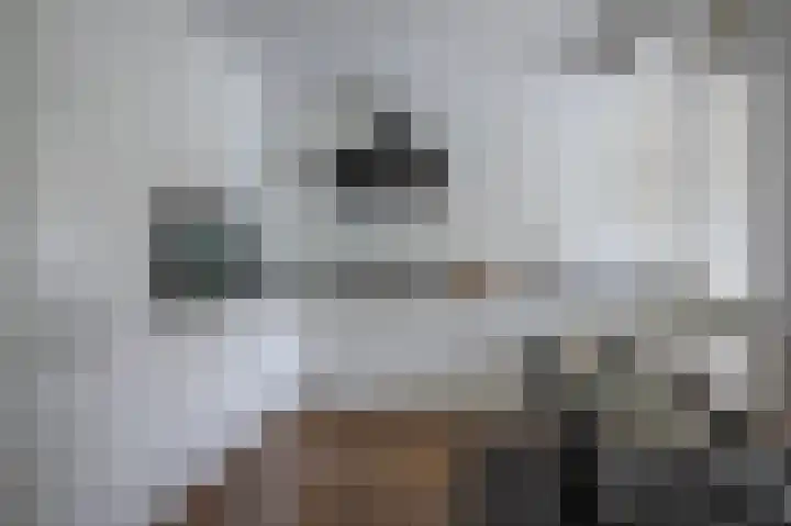 In den Bongerd 6 Westervoort thumbnail 4