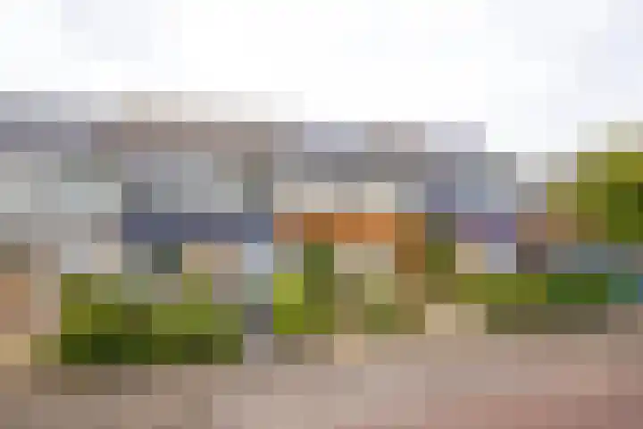 In den Bongerd 6 Westervoort thumbnail 5