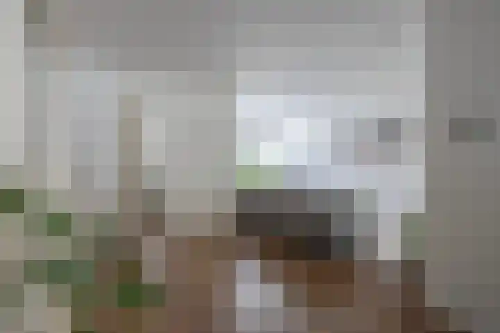 In den Bongerd 6 Westervoort thumbnail 8
