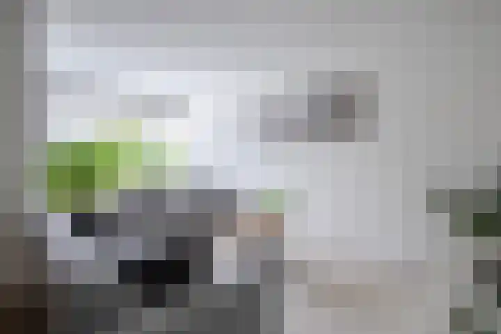 In den Bongerd 6 Westervoort thumbnail 9