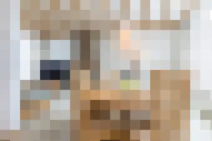 In den Daal 18 Oirsbeek thumbnail 12