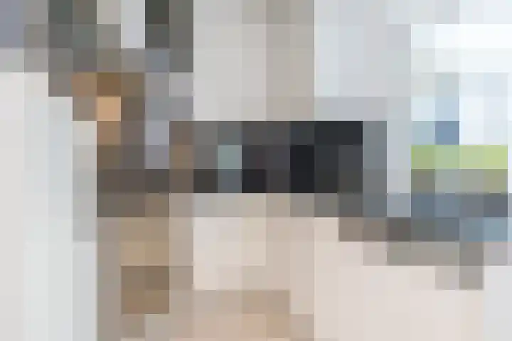 In den Daal 35 Oirsbeek thumbnail 15