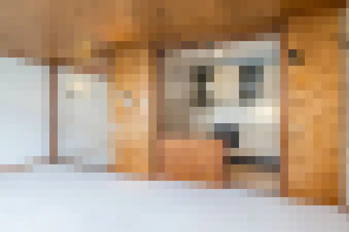In den Daal 7 Oirsbeek thumbnail 12