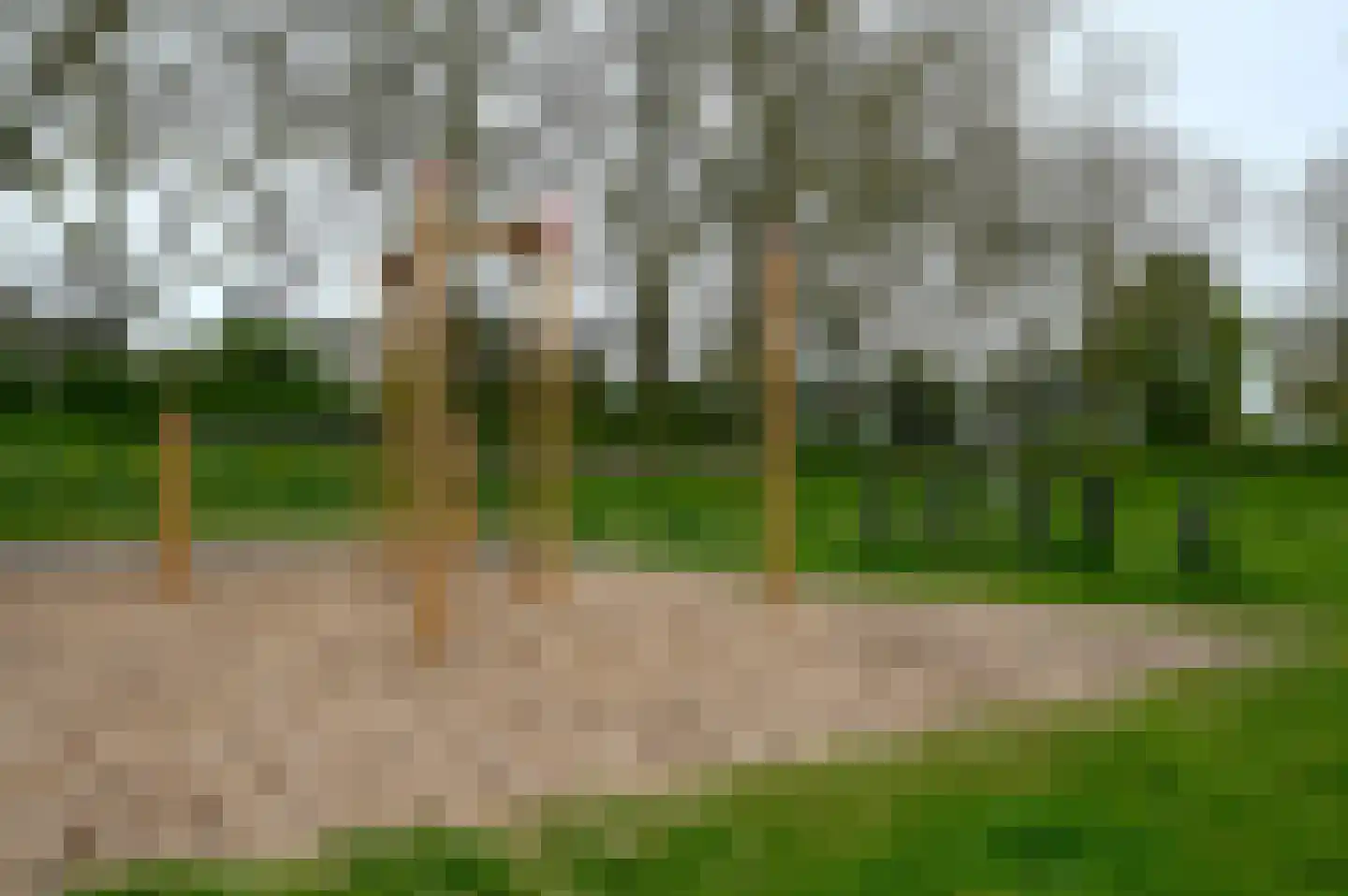 In het Midden 25 Uithoorn thumbnail 31