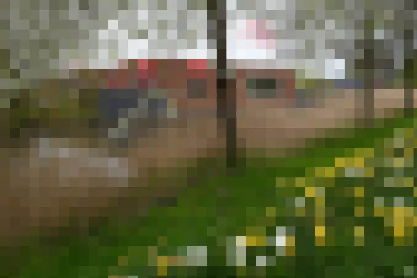 In het Midden 25 Uithoorn thumbnail 32