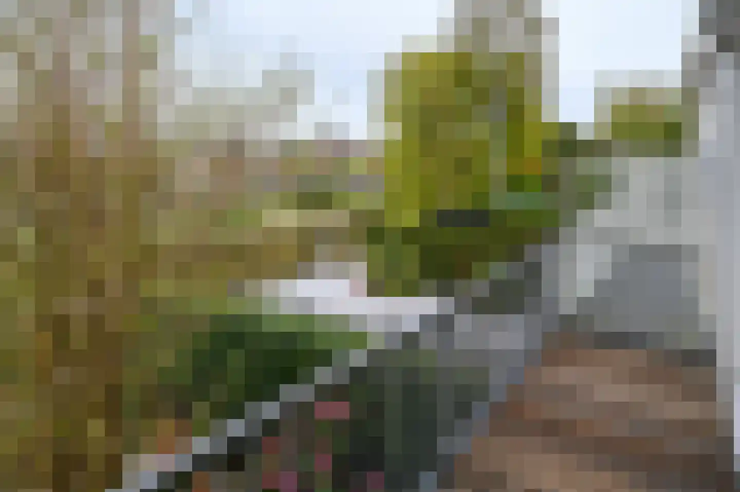 In het Midden 25 Uithoorn thumbnail 9